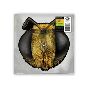 King Gizzard & The Lizard Wizard - Big Fig Wasp Shaped Picture Disc RSD 2026 7" Vinyl